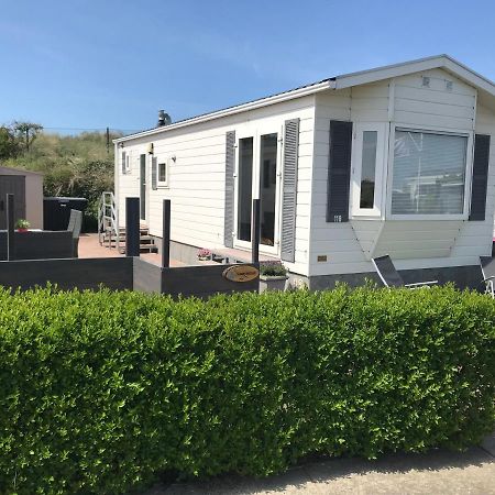 Blauwe Zeedistel Villa IJmuiden Bagian luar foto